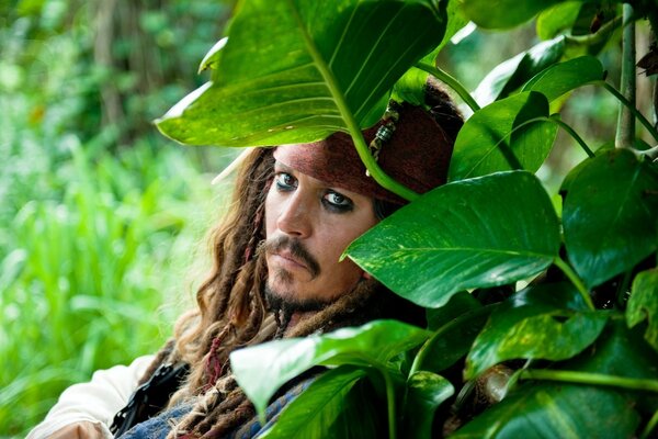 Captain Jack Sparrow im Laub