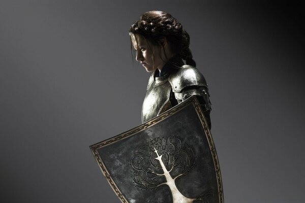 Portrait of Snow White in armor