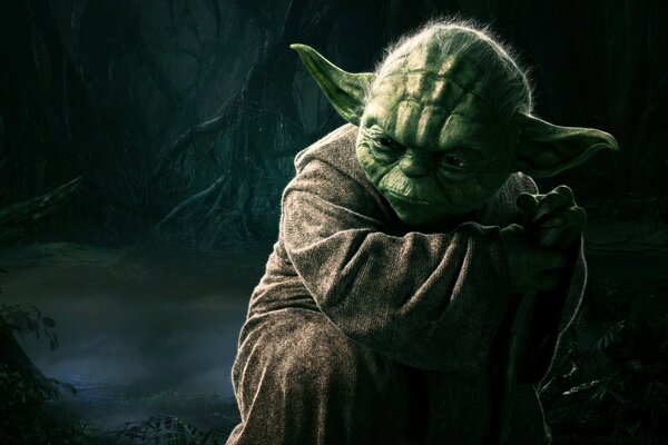 Portrait of Master Yoda from Star Warriors