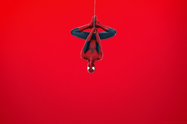 Spider-Man upside down on a red background