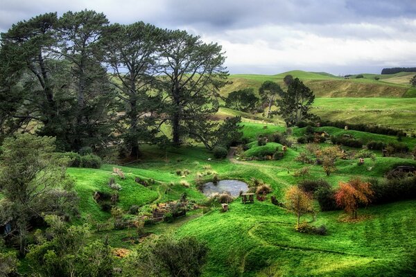 بركة صغيرة في الطبيعة الخضراء