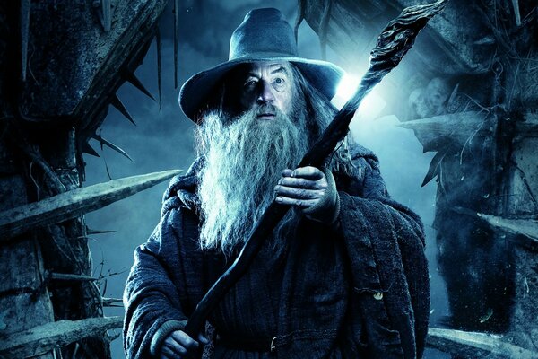 The Hobbit. Gandalf in the dark forest