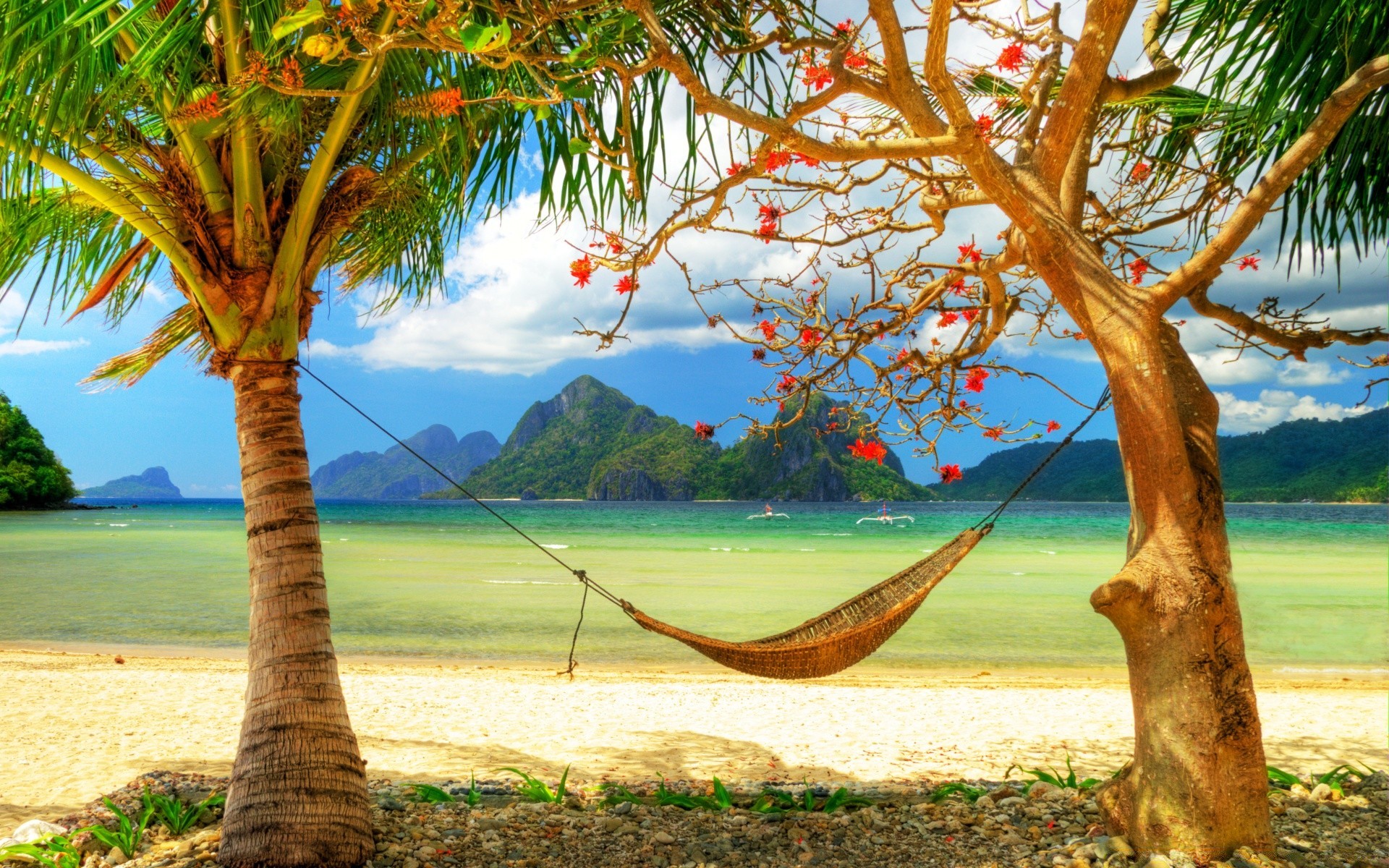 mare e oceano tropicale albero palma natura estate legno spiaggia foglia cocco esotico viaggi paesaggio mare cielo relax paradiso isola vacanza acqua