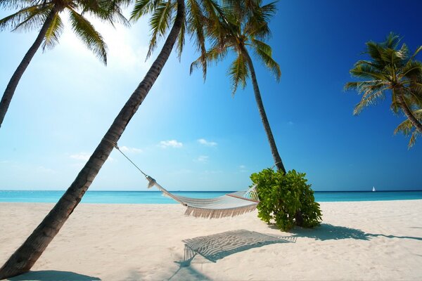 Hammock on a tropical beach