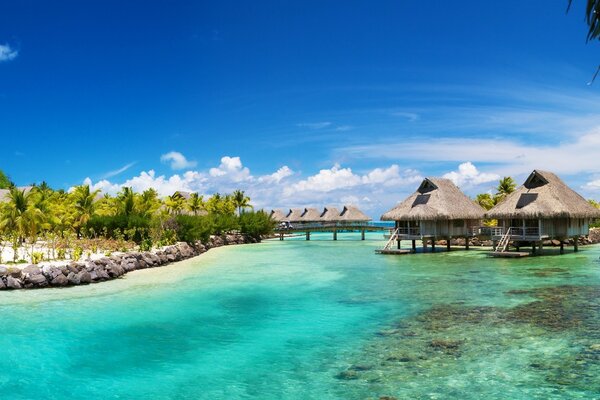 Tropical resort with beach and ocean