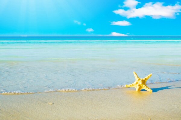 Estrella amarilla junto al mar en la arena