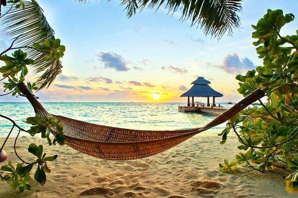 热带海滩背景上的吊床