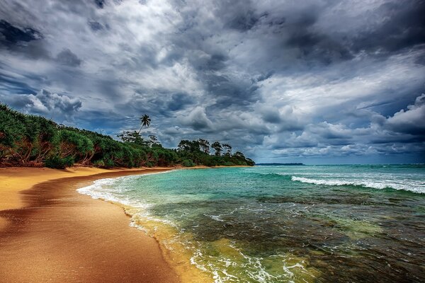 Costa tropical com uma bela praia