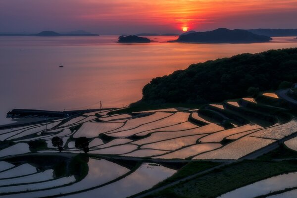 Coucher de soleil pourpre sur la surface de l eau