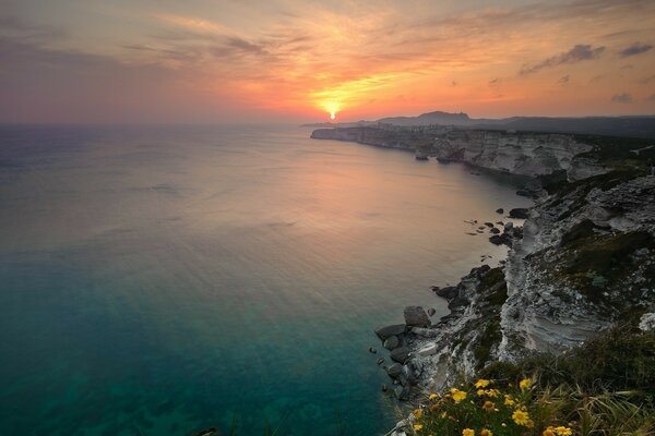 Seascape and small yellow flowers on the shore