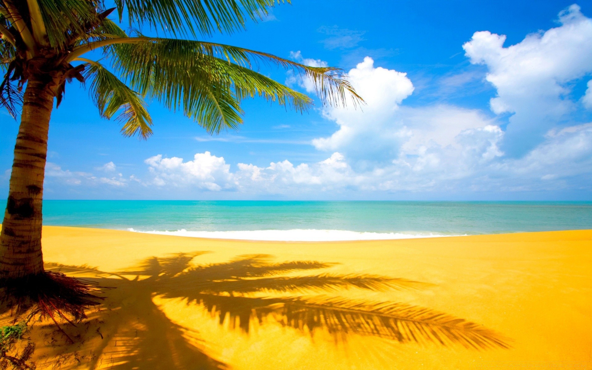 meer und ozean tropisch strand sand exotisch meer sonne reisen insel wasser landschaft sommer ozean palmen idylle entspannung paradies urlaub resort brandung