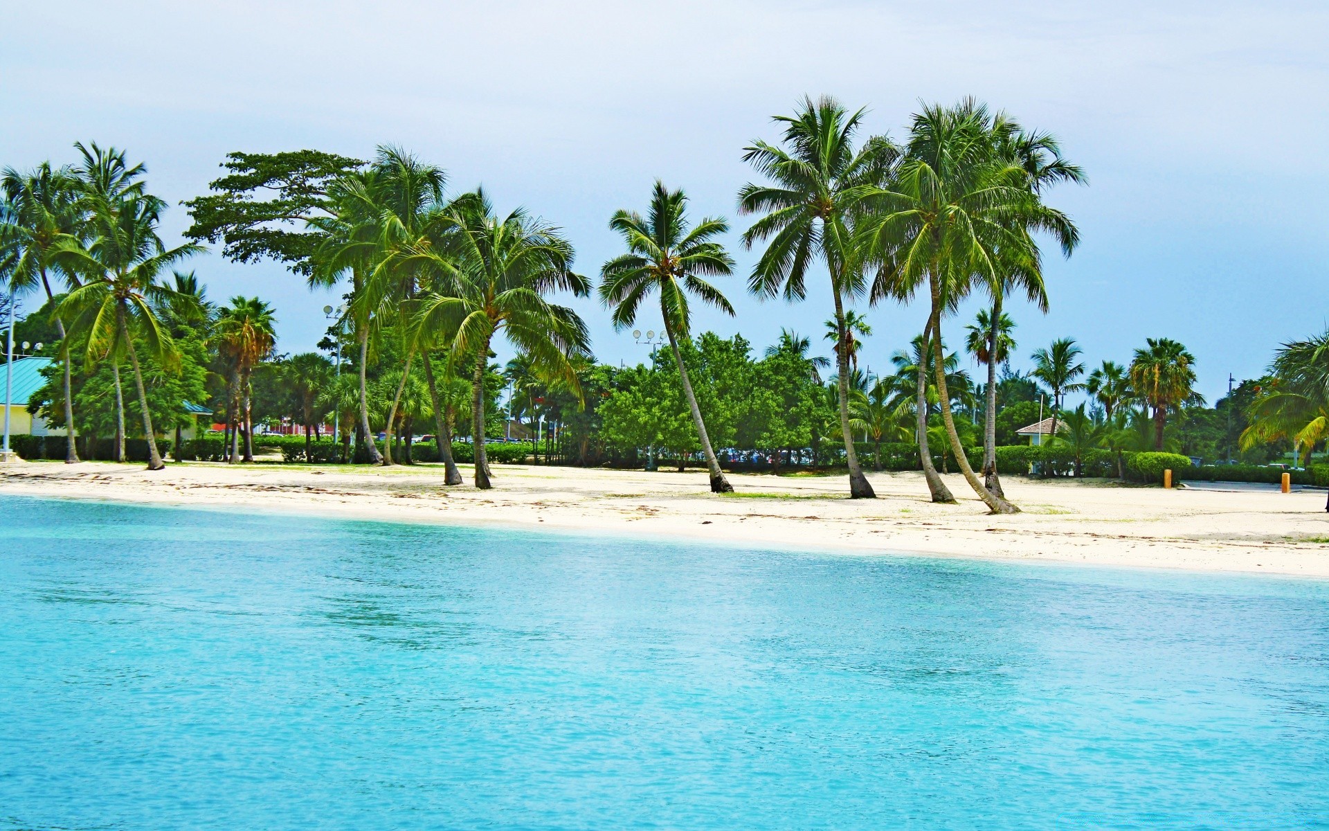 mer et océan tropical plage palm resort sable paradis île noix de coco idyllique vacances exotique océan mer détente paysage été voyage lagon turquoise eau