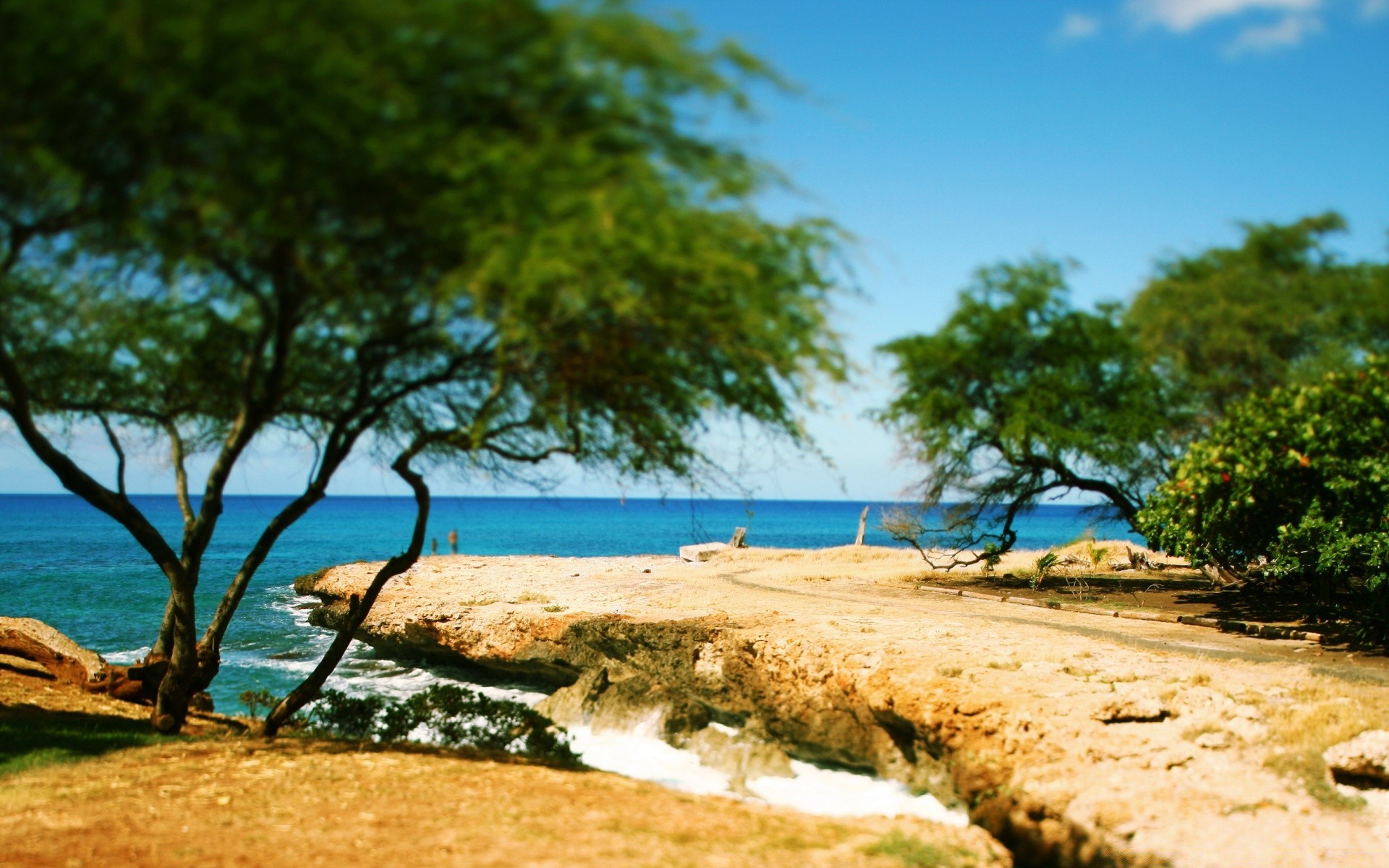 mer et océan eau arbre nature plage voyage été mer sable idylle mer tropical beau temps ciel paysage détente en plein air soleil océan