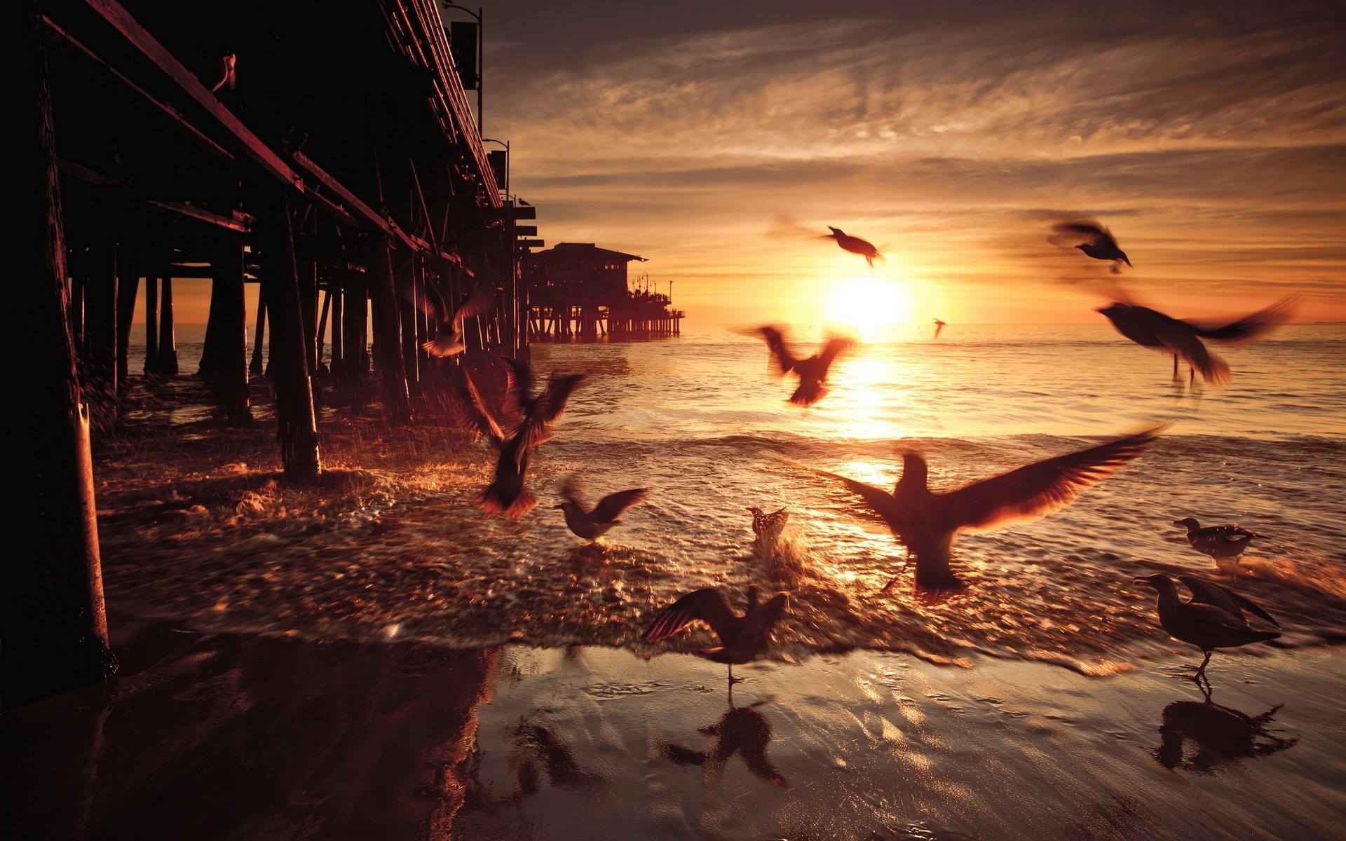 mer et océan coucher de soleil eau aube plage soir crépuscule océan mer mer soleil en plein air voyage oiseau réflexion