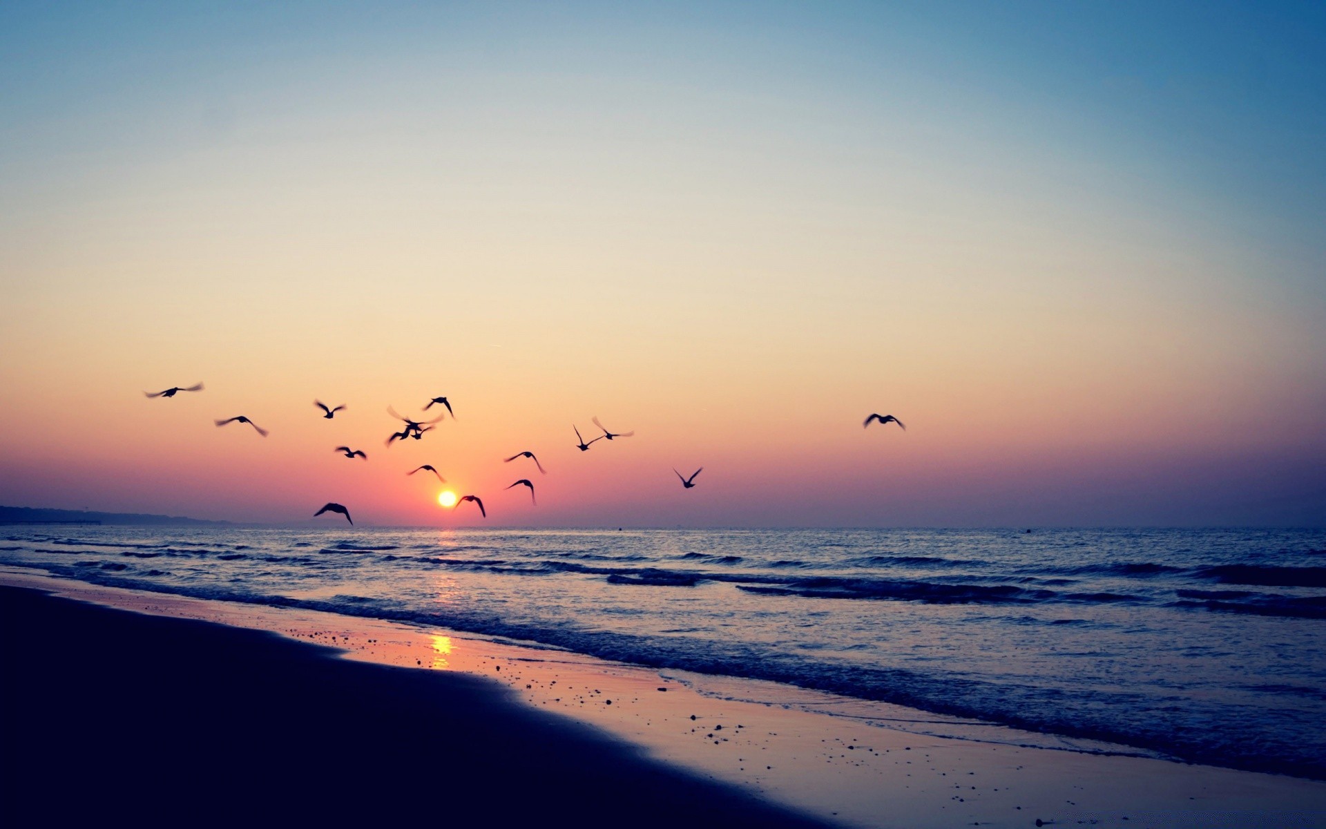 海洋和海洋 日落 海滩 水 太阳 海 黎明 海洋 天空 晚上 黄昏 剪影 夏天 海 景观 好天气 沙子 景观