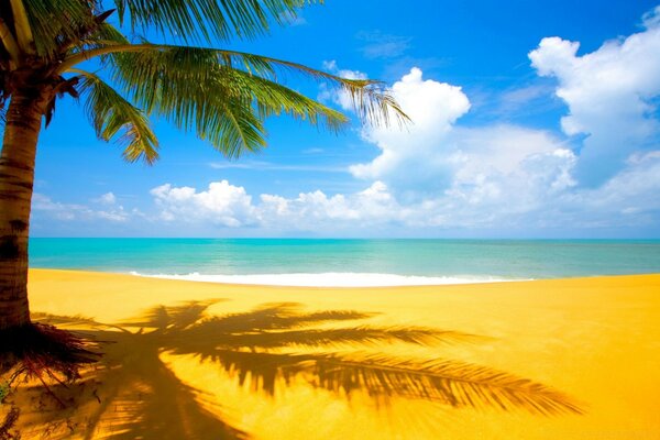 Una pausa dal trambusto della vita quotidiana su un isola favolosa