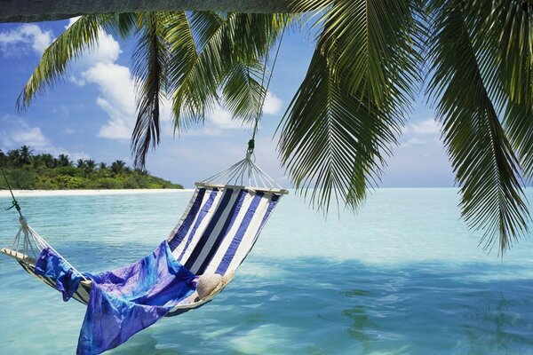 Un lugar para relajarse en un paraíso tropical