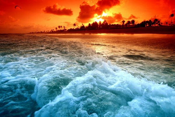 Sea waves against the background of trees and sunset