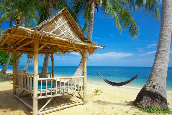 Vacation at the resort in a hammock by the sea or ocean. Palm trees