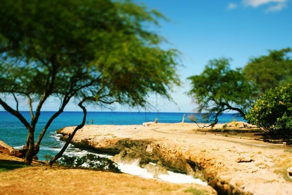 Plage sauvage avec des arbres et des rochers