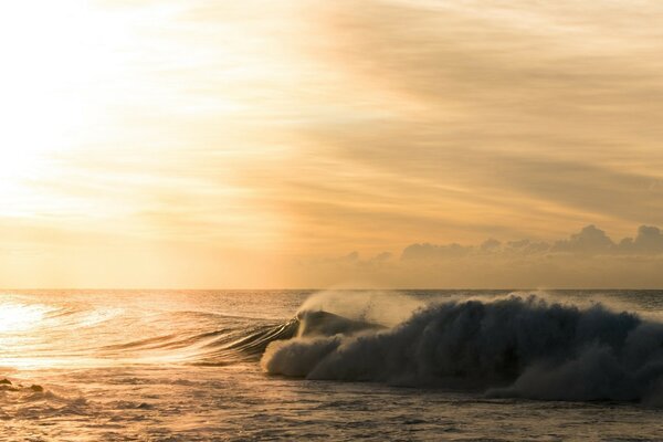 Evening ocean with big waves