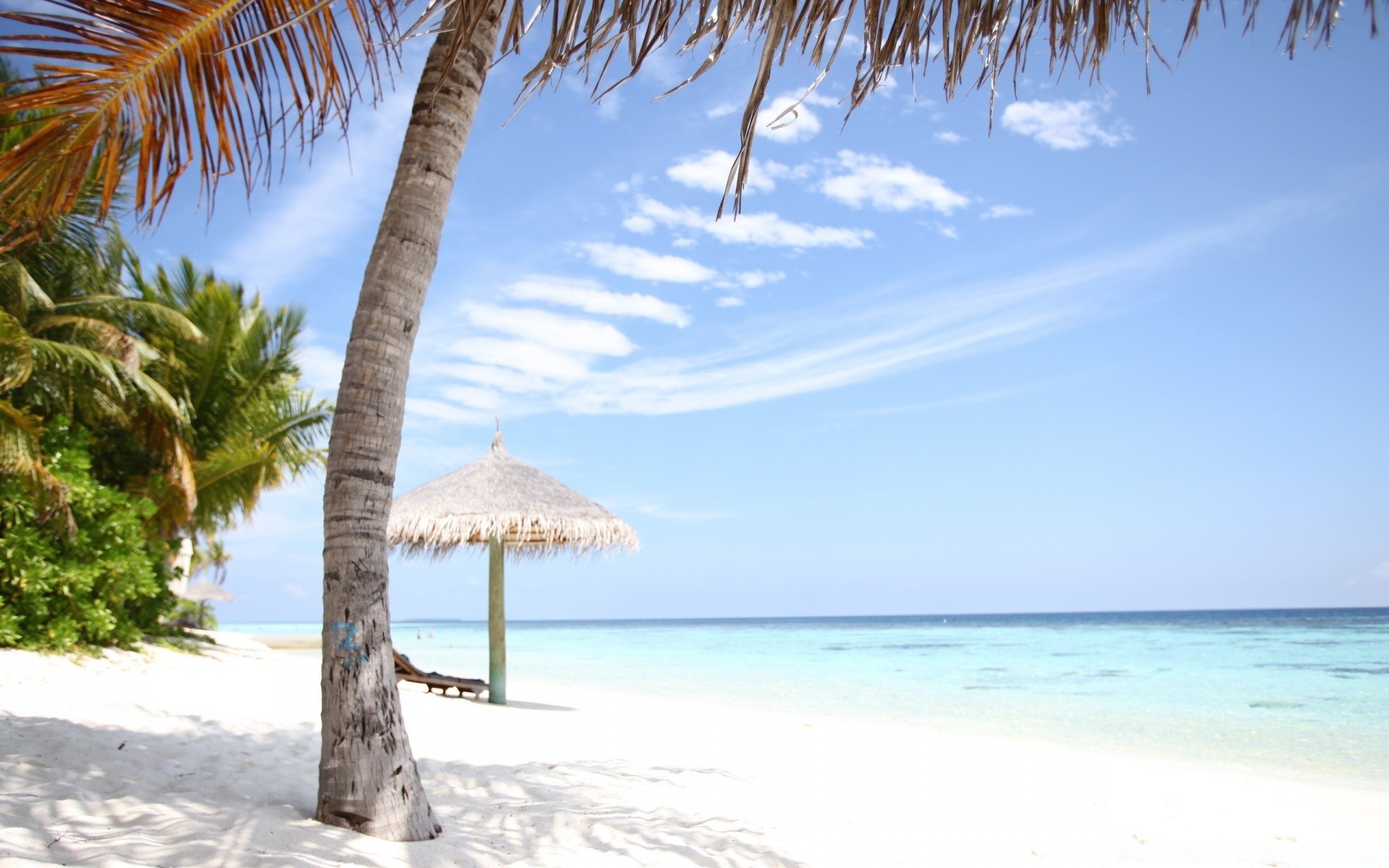 mer et océan tropical sable plage mer détente voyage océan exotique vacances idyllique été station balnéaire turquoise île eau paume paysage soleil mer