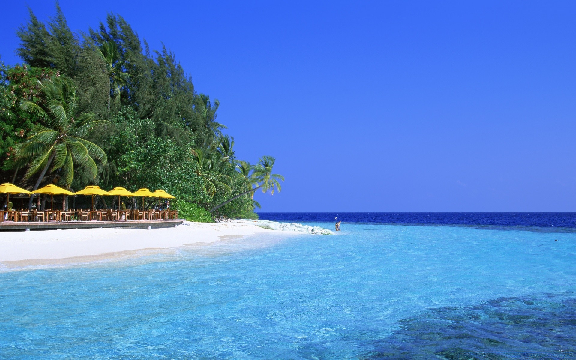 mer et océan tropical idyllique île voyage plage mer eau exotique vacances océan sable turquoise station balnéaire paysage paradis été détente arbre palmiers