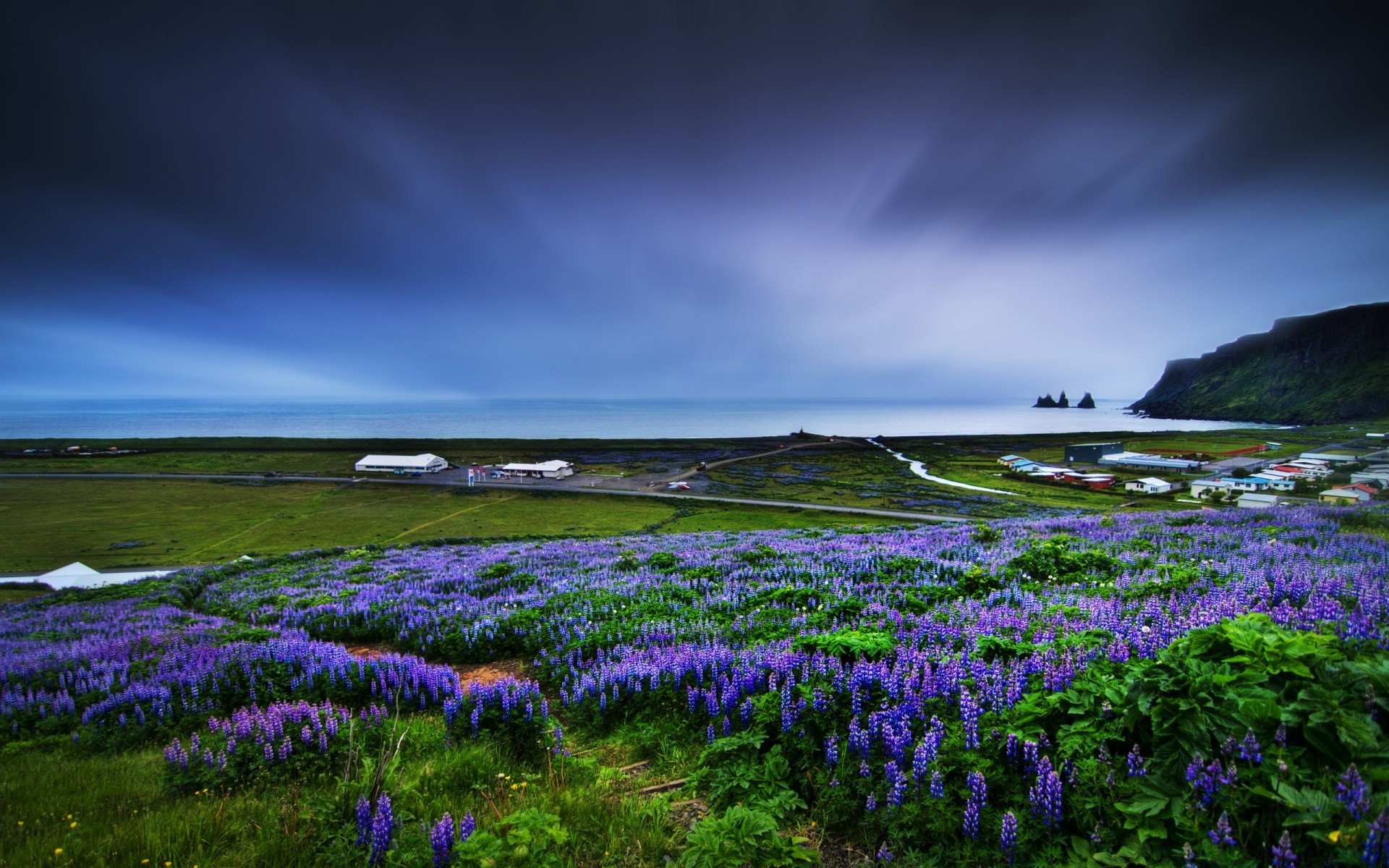 sea and ocean landscape flower hayfield nature field outdoors grass scenic sky grassland rural wildflower countryside sunset summer dawn mountain color travel