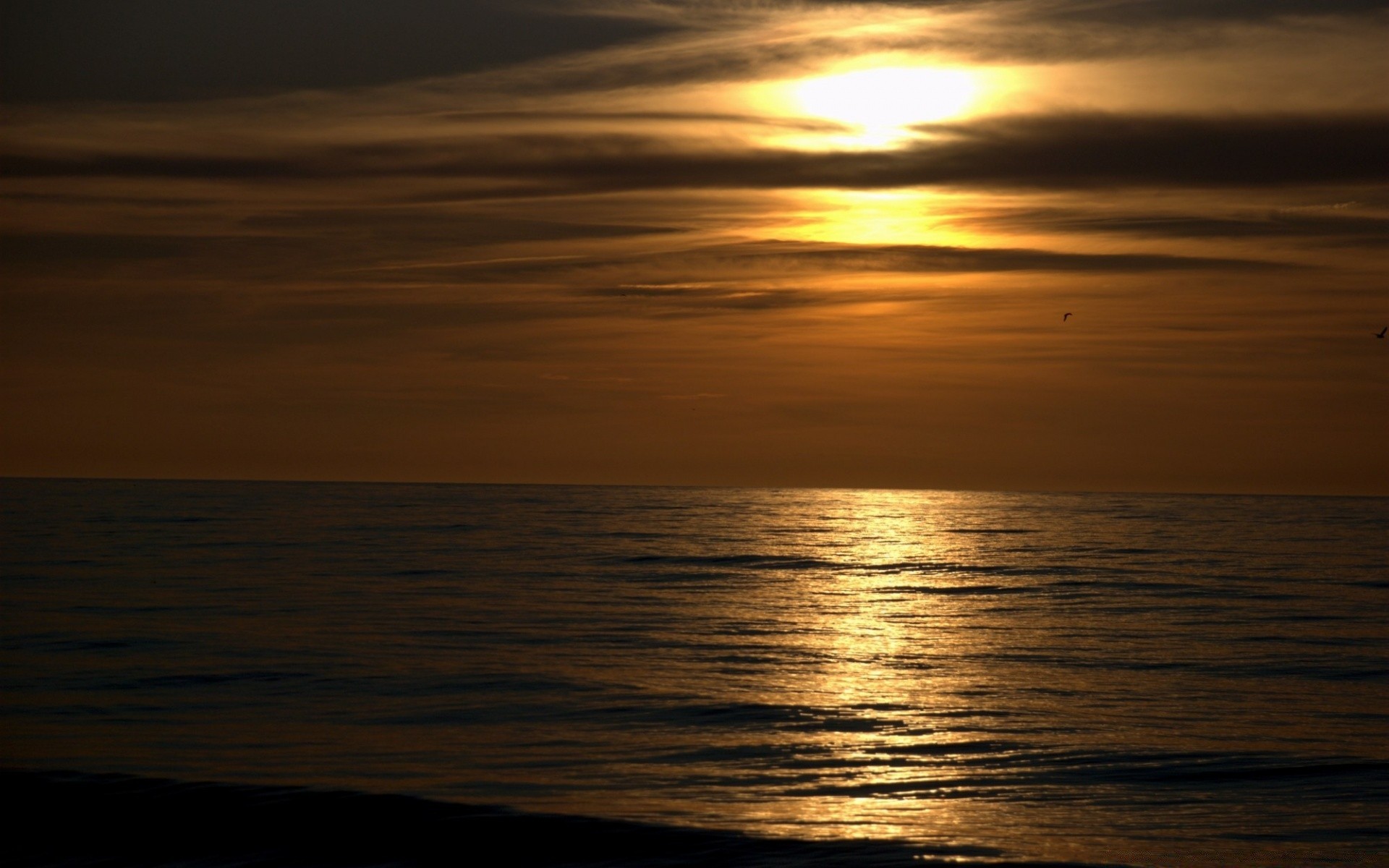 mar e oceano pôr do sol água amanhecer noite sol mar oceano crepúsculo praia reflexão paisagem paisagem céu luz bom tempo lago natureza