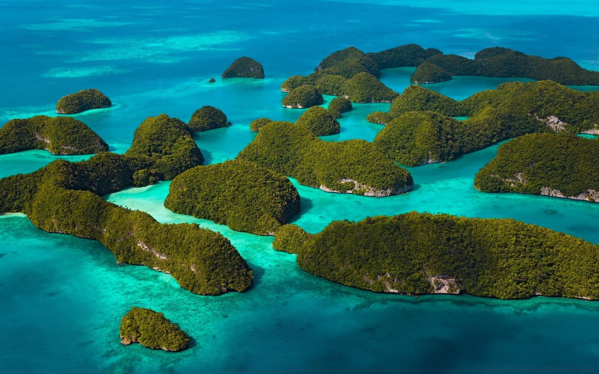 mer et océan eau sous-marin océan voyage mer paysage tropical récif corail nature turquoise paysage île mer