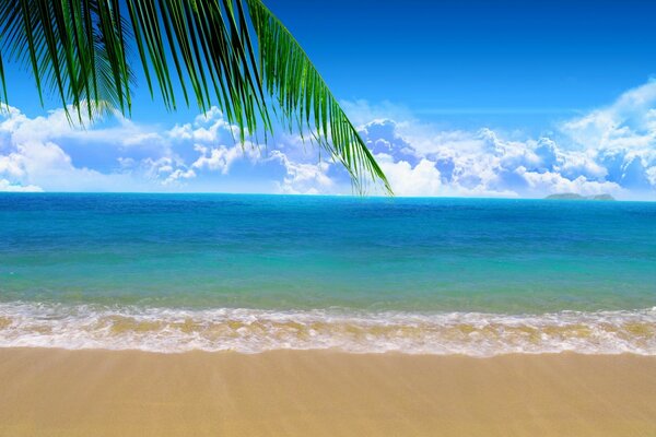 Albero tropicale su sfondo spiaggia