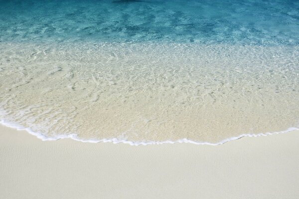 Bande de sable blanc et océan bleu