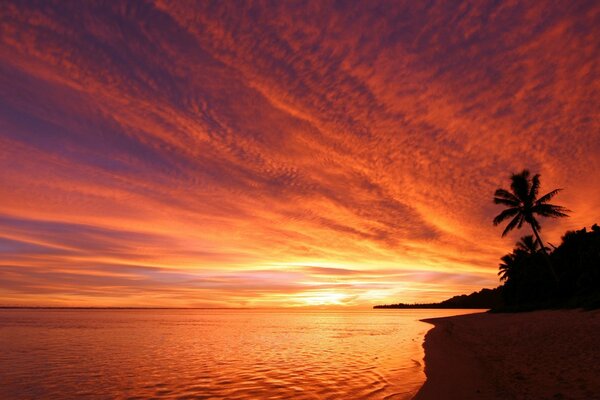 Hermosa puesta de sol en la orilla del mar