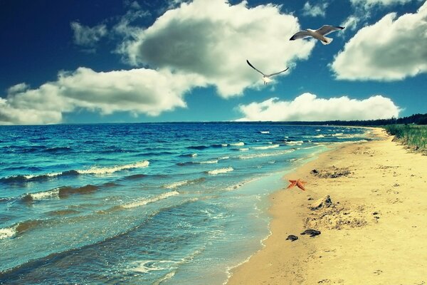 A bird flies over a tropical beach