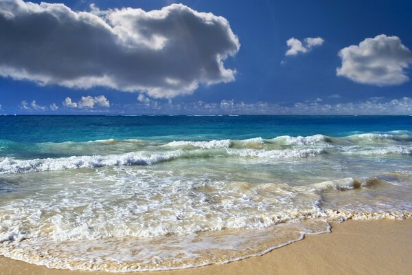 Un onda colpisce la spiaggia sabbiosa