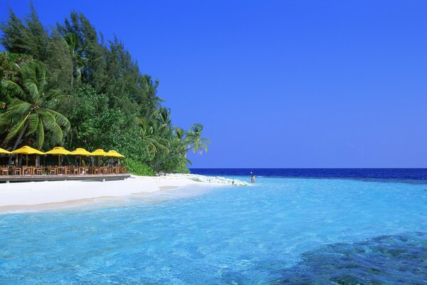 Magnifique plage tropicale de l île avec du sable blanc sur fond d océan bleu