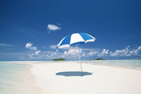 Spiaggia tropicale vicino al mare. Sabbia