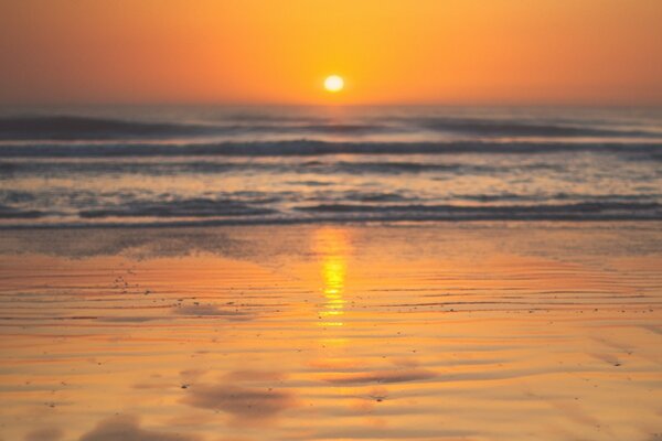 Beau coucher de soleil sur la côte de la mer