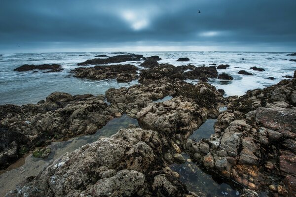 Belles vagues de l océan ou de la mer