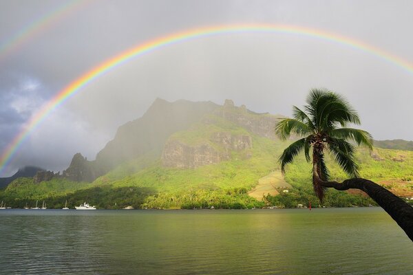 Doppelter Regenbogen vor dem Hintergrund von tropischen Bergen und Palmen