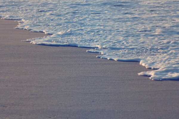 Sea foam on the sandy shore