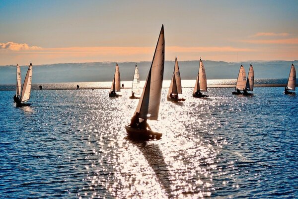 Viele Segelboote im Wasser reflektieren den Sonnenuntergang