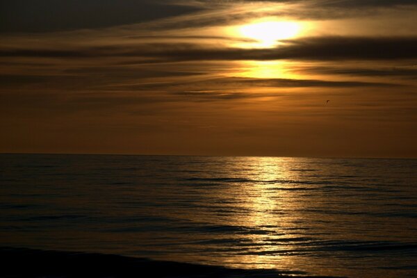 Moonlight falls on the Pacific Ocean