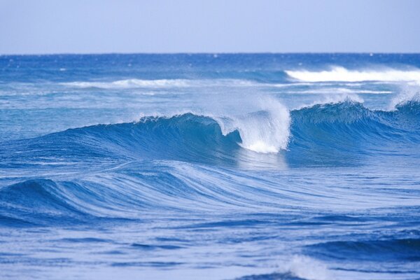 Olas altas del océano azul