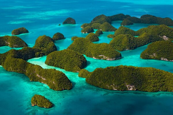 Un océano de berza que baña muchas pequeñas islas cubiertas de vegetación