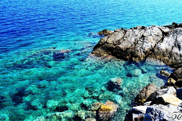 Clear, blue water in the ocean