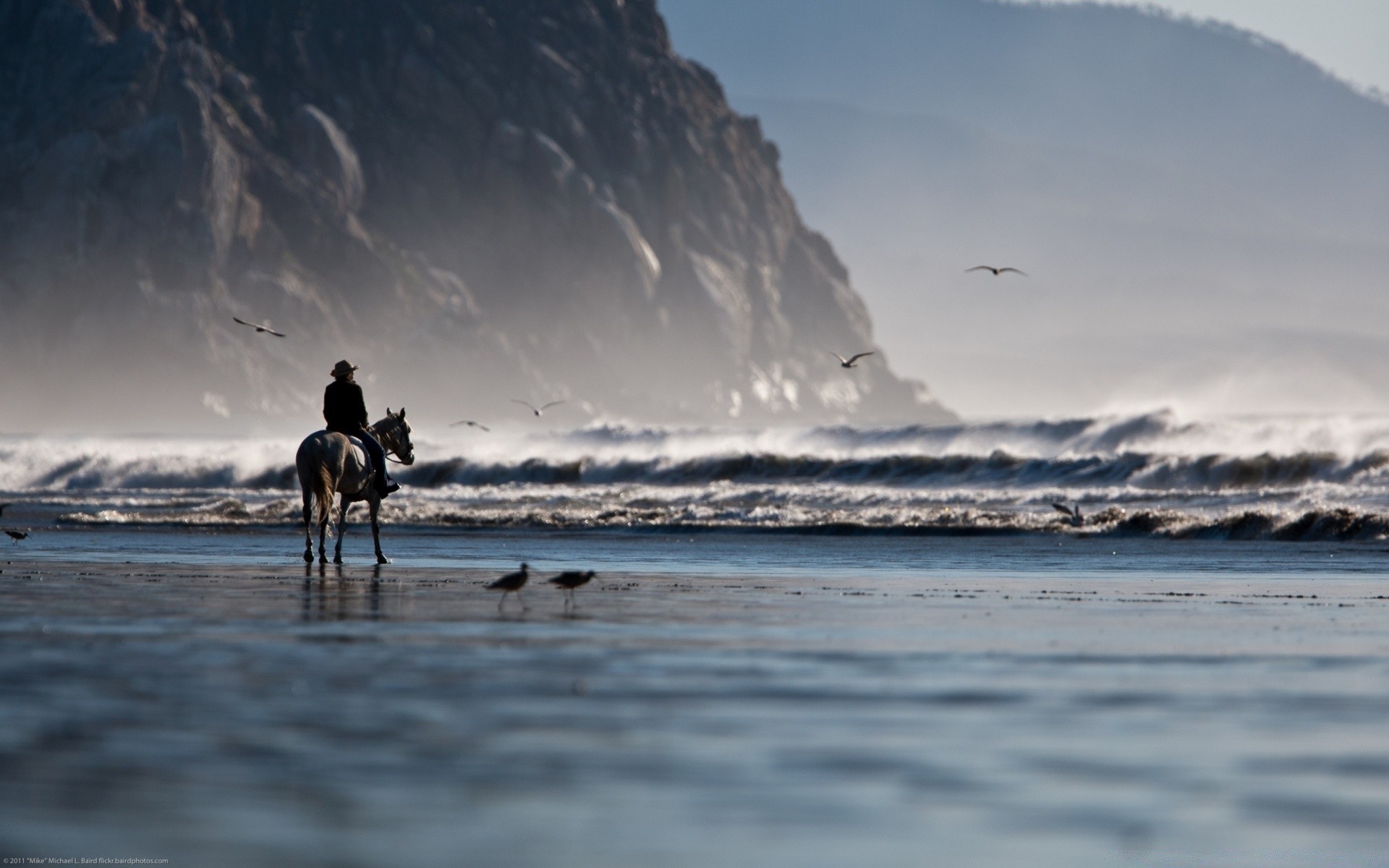 sea and ocean water sea ocean beach seashore landscape travel outdoors sunset surf