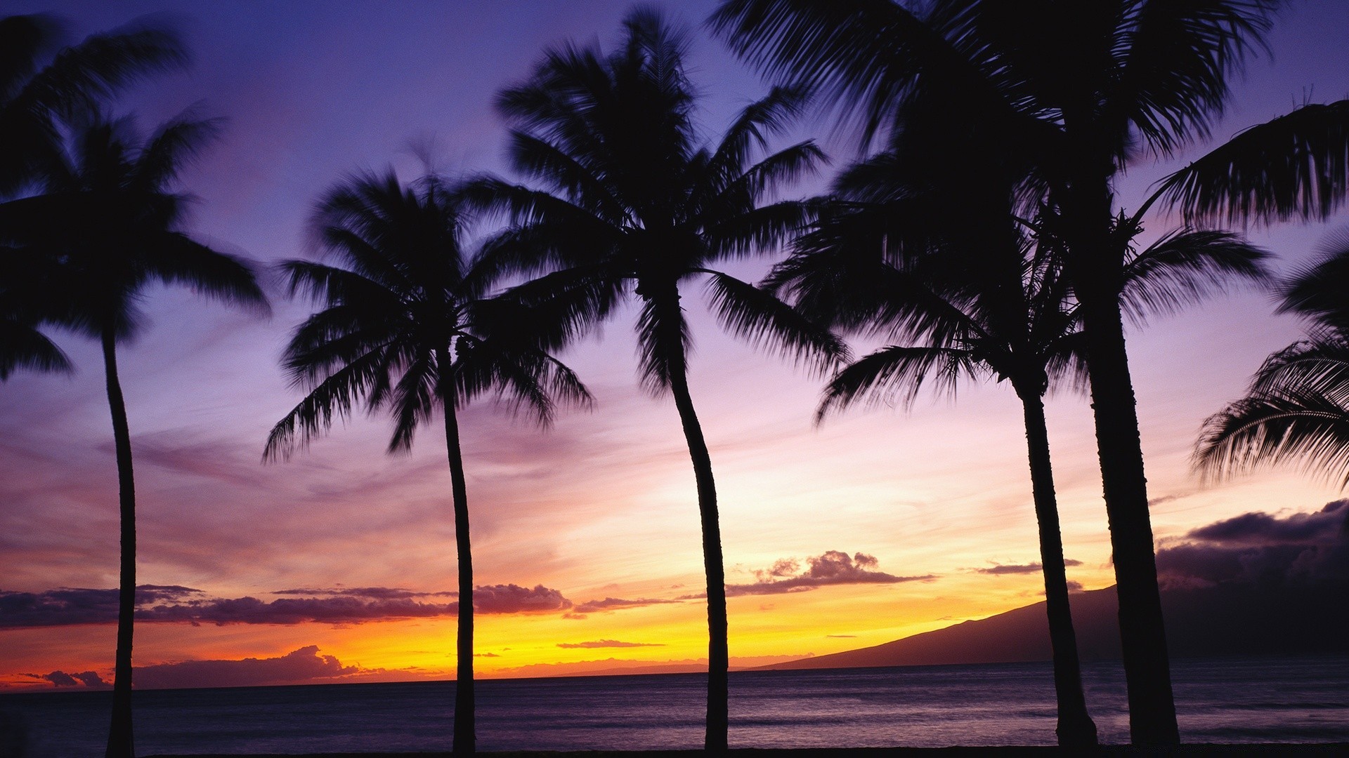 mer et océan plage tropical soleil mer sable palm océan exotique idylle île voyage paysage station balnéaire vacances été coucher de soleil détente noix de coco paradis