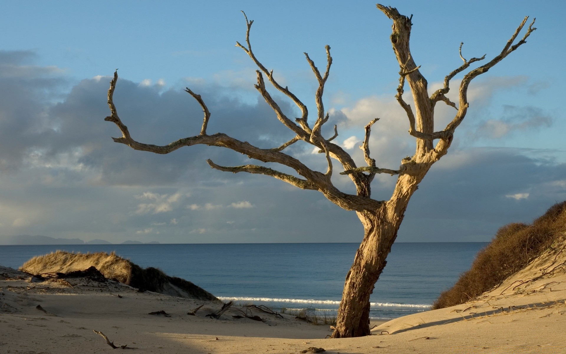 mare e oceano acqua spiaggia paesaggio mare mare oceano sabbia cielo viaggi natura tramonto albero alba sole all aperto isola sera estate bel tempo