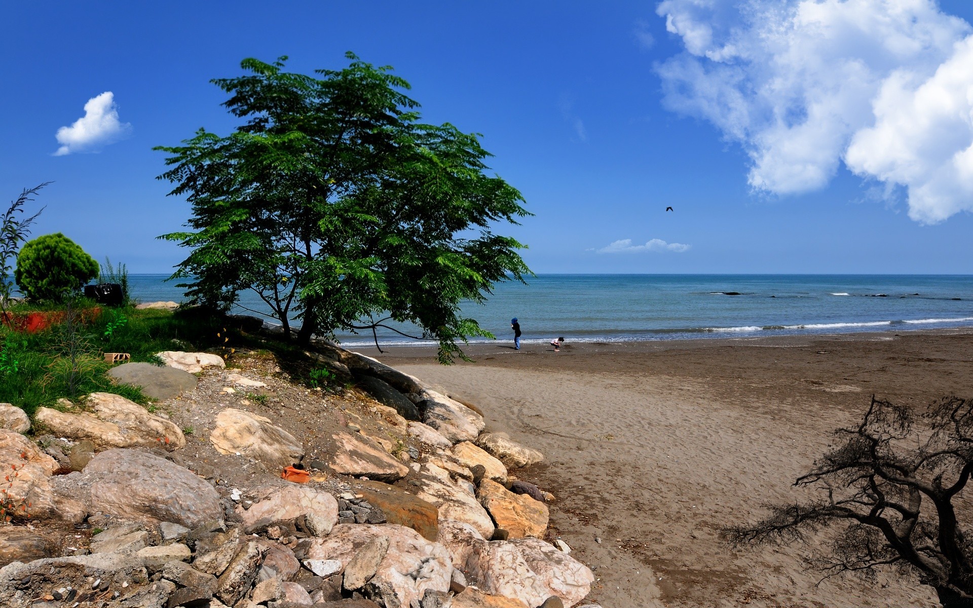 mar e oceano praia mar água mar oceano viagens verão paisagem árvore natureza céu areia férias paisagem ilha sol cênica bom tempo tropical